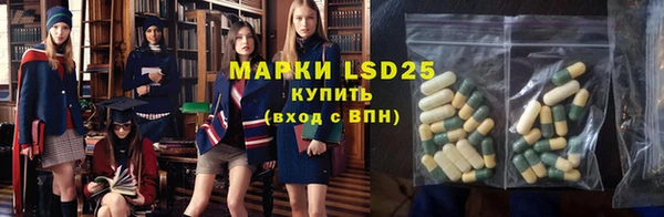 прущие грибы Алексеевка