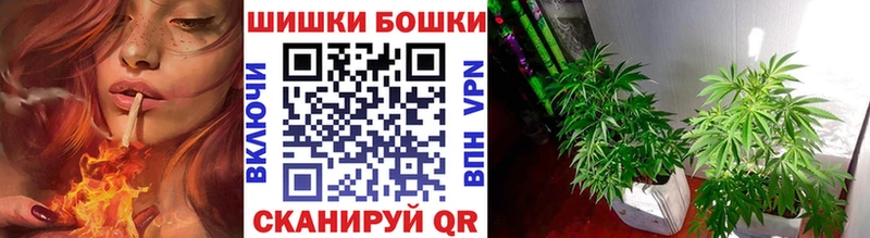 Бошки марихуана VHQ  мориарти официальный сайт  Болхов 